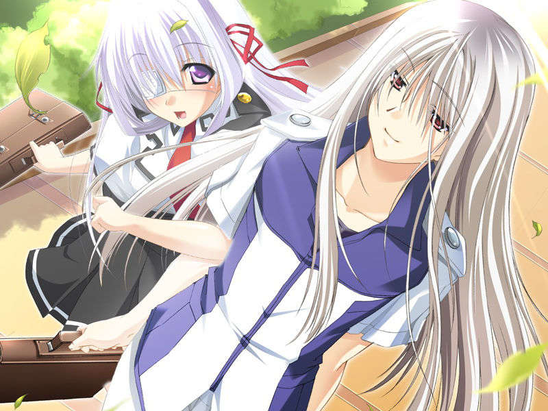 [070525][めろめろキュート] ドラクリウス 975/1211 