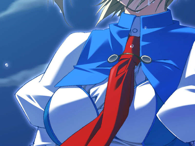 [070525][めろめろキュート] ドラクリウス 979/1211 