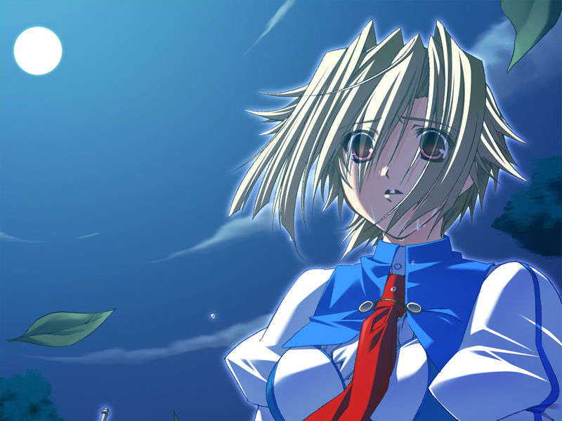 [070525][めろめろキュート] ドラクリウス 980/1211 