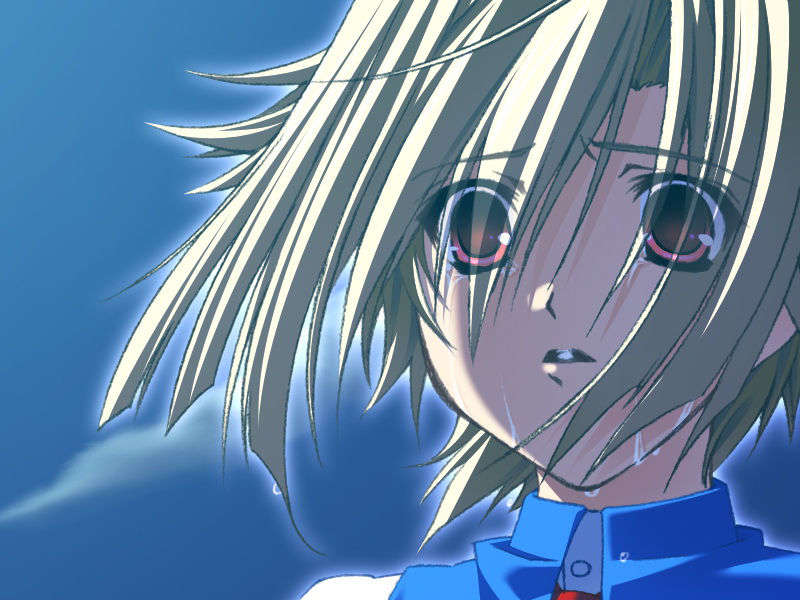 [070525][めろめろキュート] ドラクリウス 981/1211 