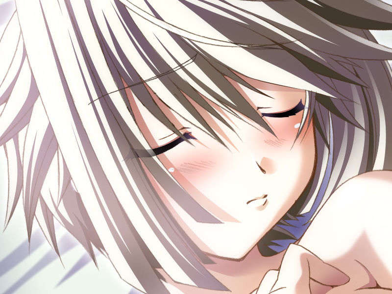 [070525][めろめろキュート] ドラクリウス 984/1211 