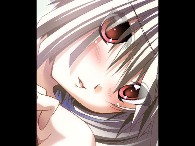 [070525][めろめろキュート] ドラクリウス 991/1211 