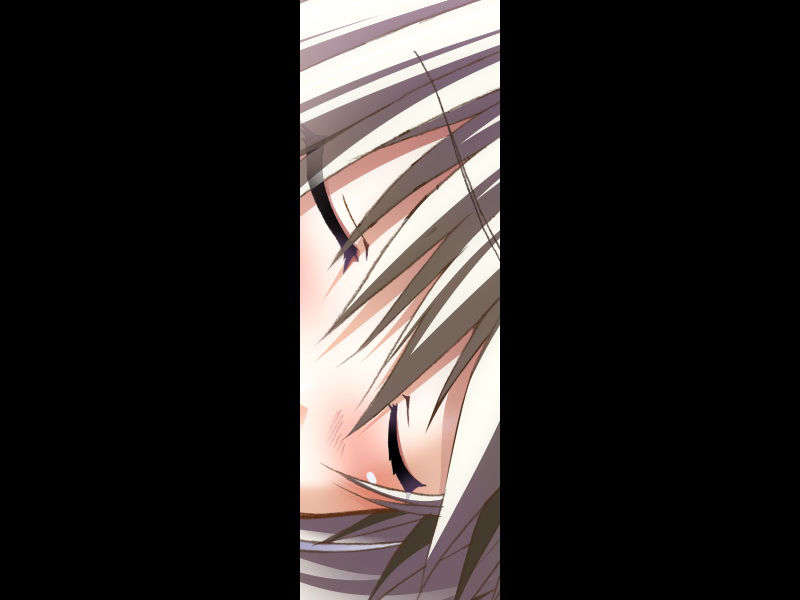 [070525][めろめろキュート] ドラクリウス 992/1211 