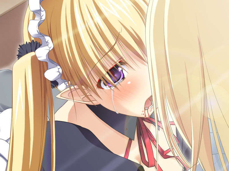 [070525][めろめろキュート] ドラクリウス 1011/1211 