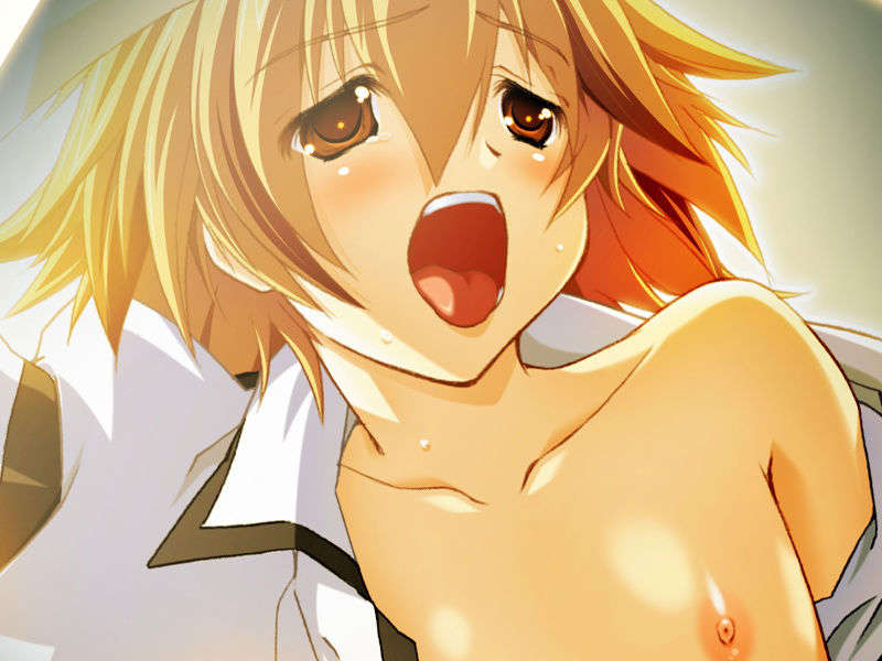 [070525][めろめろキュート] ドラクリウス 1012/1211 