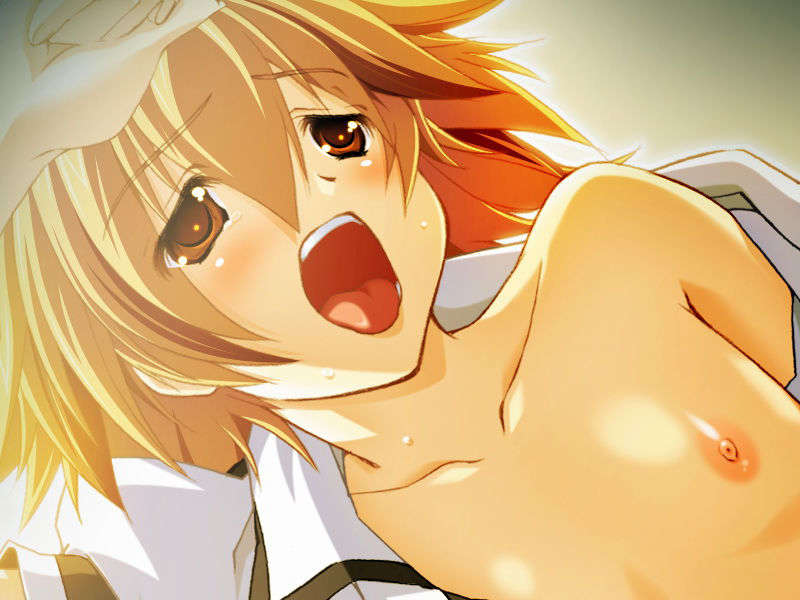 [070525][めろめろキュート] ドラクリウス 1014/1211 