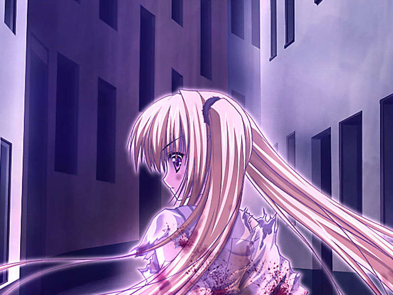 [070525][めろめろキュート] ドラクリウス 1043/1211 