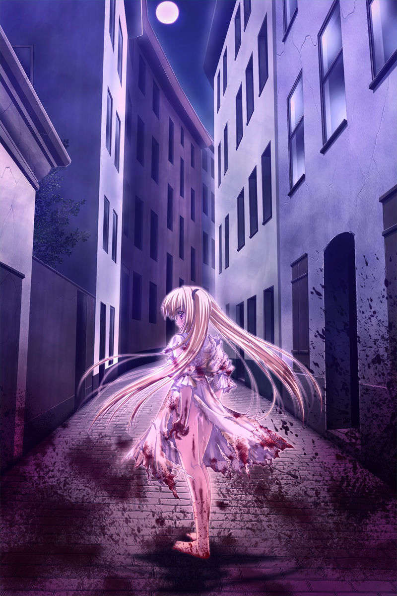 [070525][めろめろキュート] ドラクリウス 1050/1211 