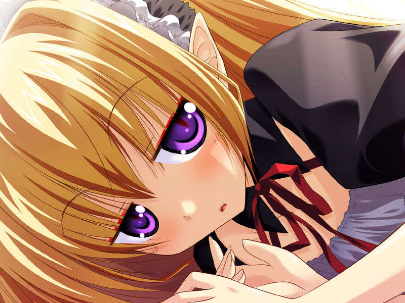 [070525][めろめろキュート] ドラクリウス 1058/1211 