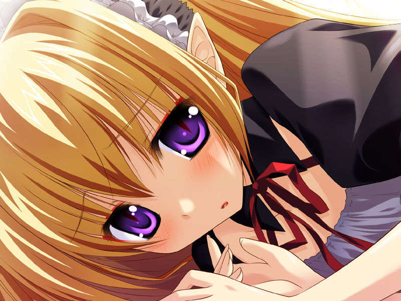 [070525][めろめろキュート] ドラクリウス 1059/1211 