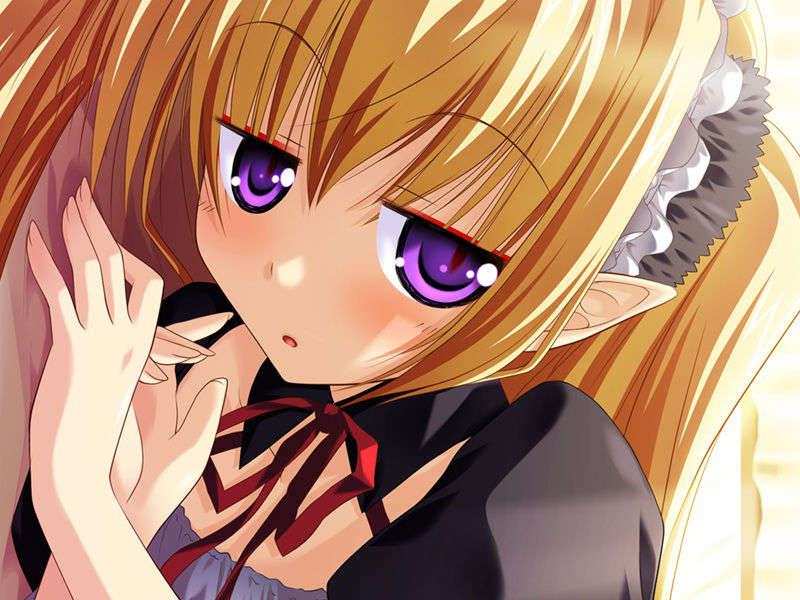 [070525][めろめろキュート] ドラクリウス 1061/1211 