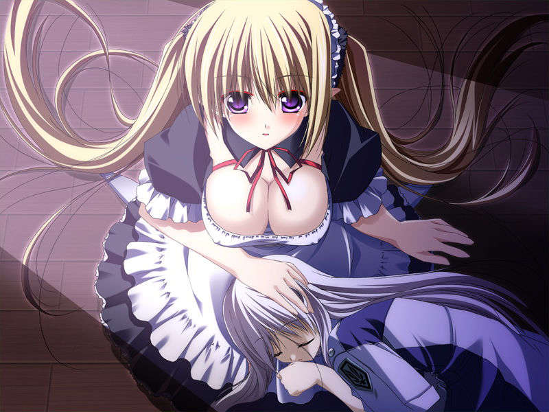 [070525][めろめろキュート] ドラクリウス 1091/1211 