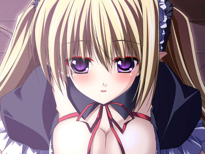 [070525][めろめろキュート] ドラクリウス 1096/1211 