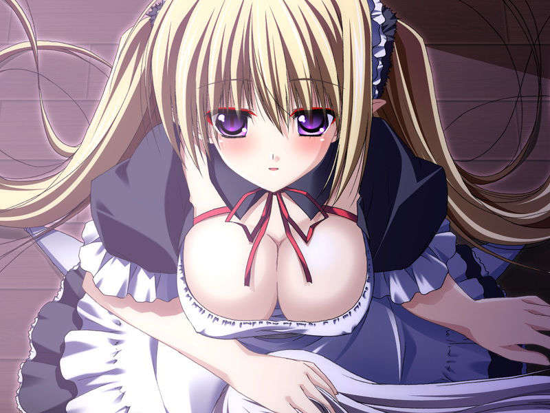 [070525][めろめろキュート] ドラクリウス 1097/1211 