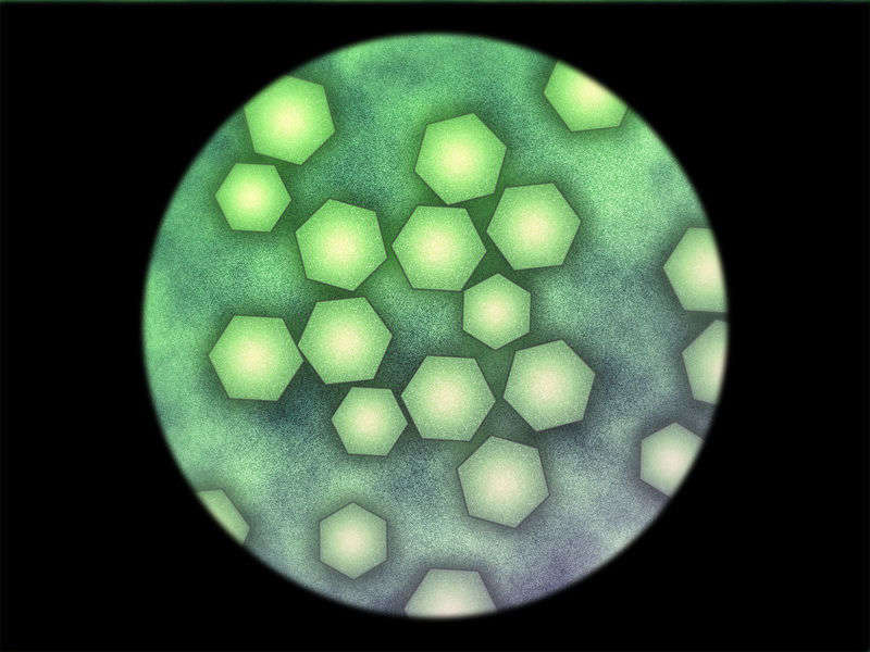 [070525][めろめろキュート] ドラクリウス 1108/1211 