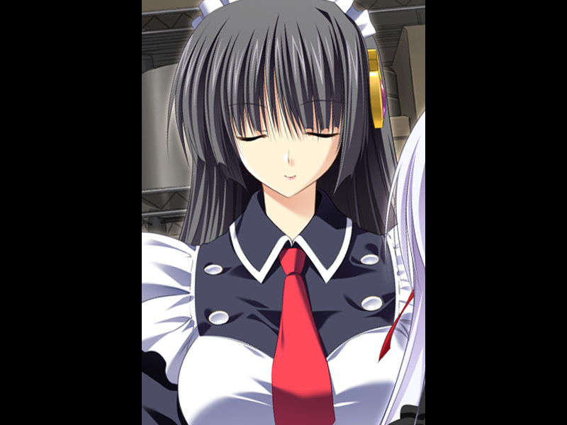 [070525][めろめろキュート] ドラクリウス 1114/1211 