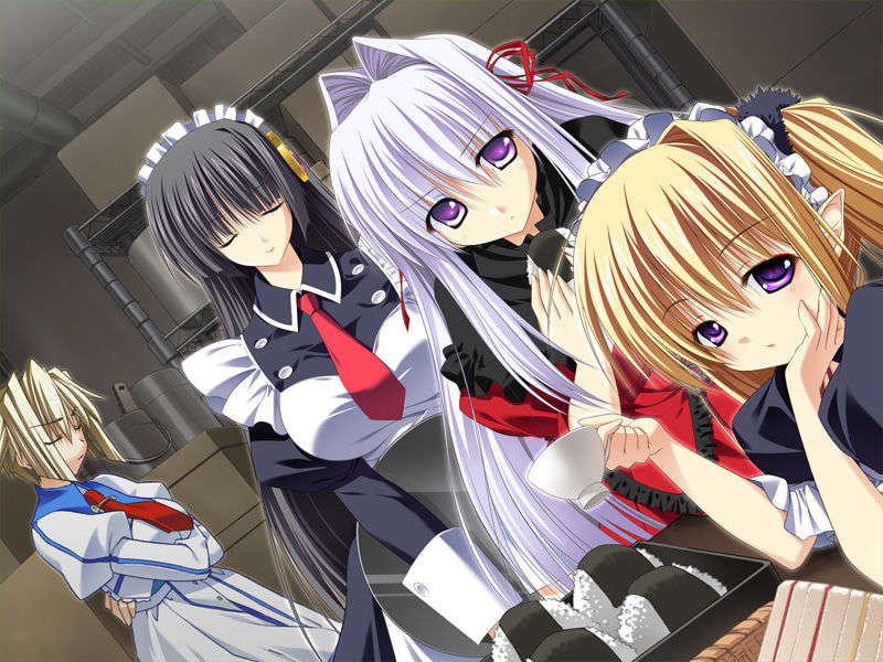 [070525][めろめろキュート] ドラクリウス 1117/1211 