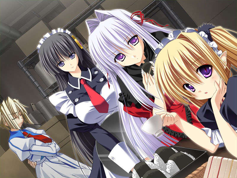 [070525][めろめろキュート] ドラクリウス 1119/1211 