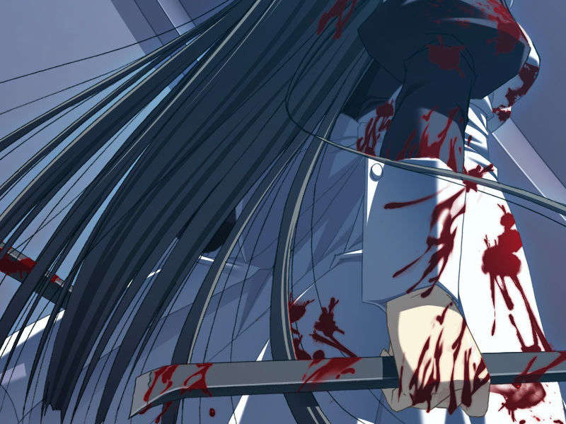 [070525][めろめろキュート] ドラクリウス 1126/1211 