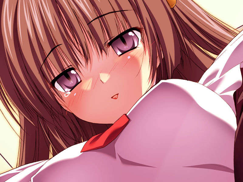 [070525][めろめろキュート] ドラクリウス 1136/1211 