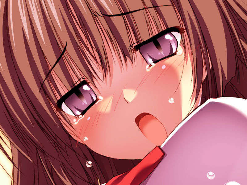 [070525][めろめろキュート] ドラクリウス 1137/1211 