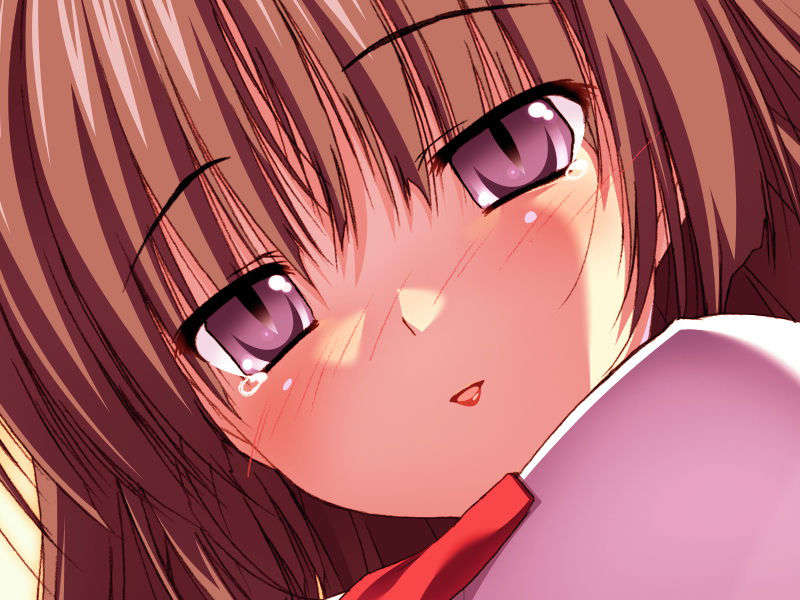 [070525][めろめろキュート] ドラクリウス 1138/1211 