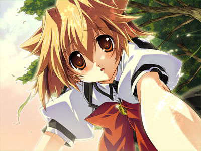 [070525][めろめろキュート] ドラクリウス 1152/1211 