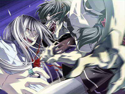 [070525][めろめろキュート] ドラクリウス 1153/1211 