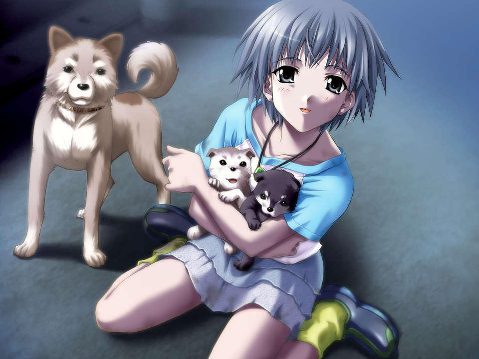 [PC]想い出にかわる君～Memories Off～ CG 186/240 
