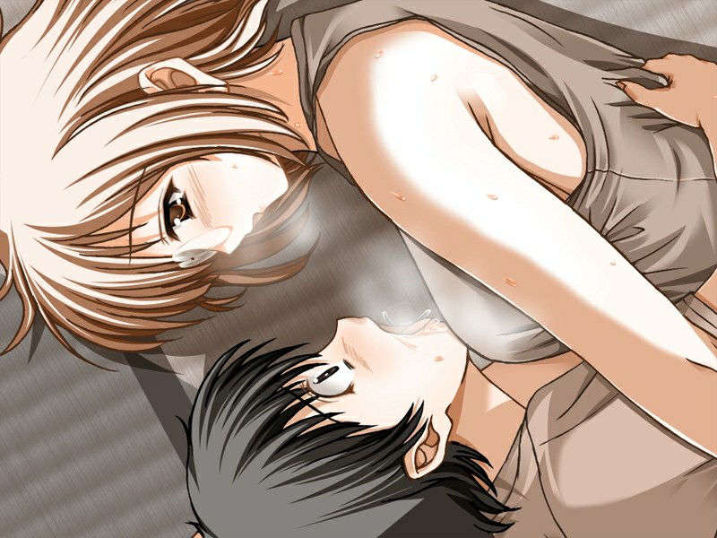 [070629][13cc]姉はエロコミ編集者～淫汁ぶっかけ生指導～ 404/408 