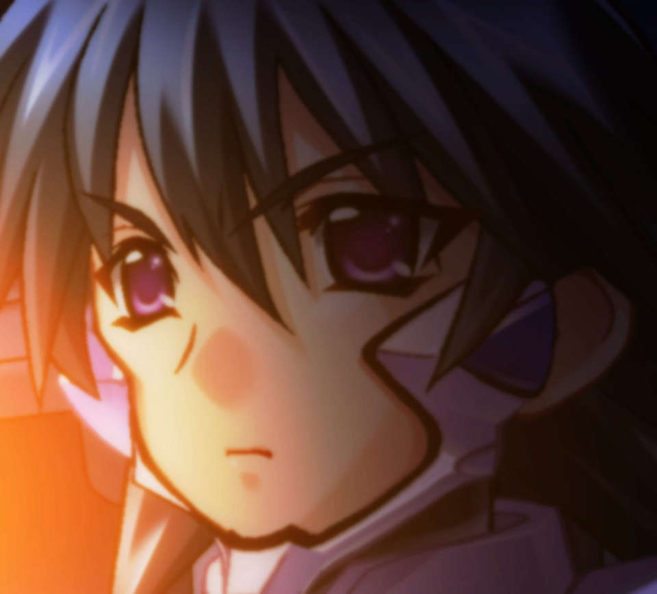 [060224] マブラヴ オルタネイティヴ 1787/2258 