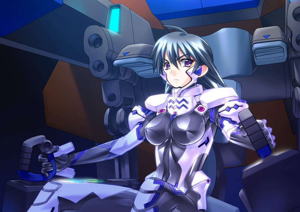 [060224] マブラヴ オルタネイティヴ 1965/2258 