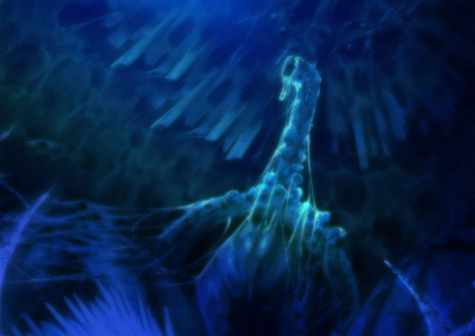 [060224] マブラヴ オルタネイティヴ 2042/2258 