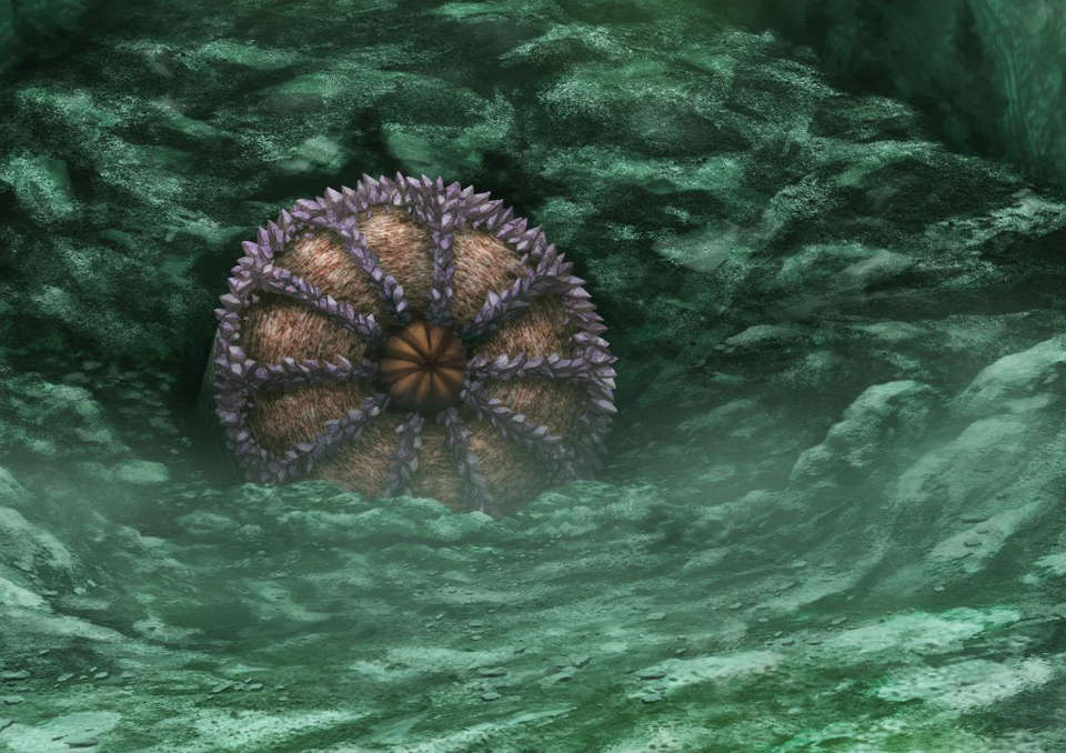 [060224] マブラヴ オルタネイティヴ 2080/2258 