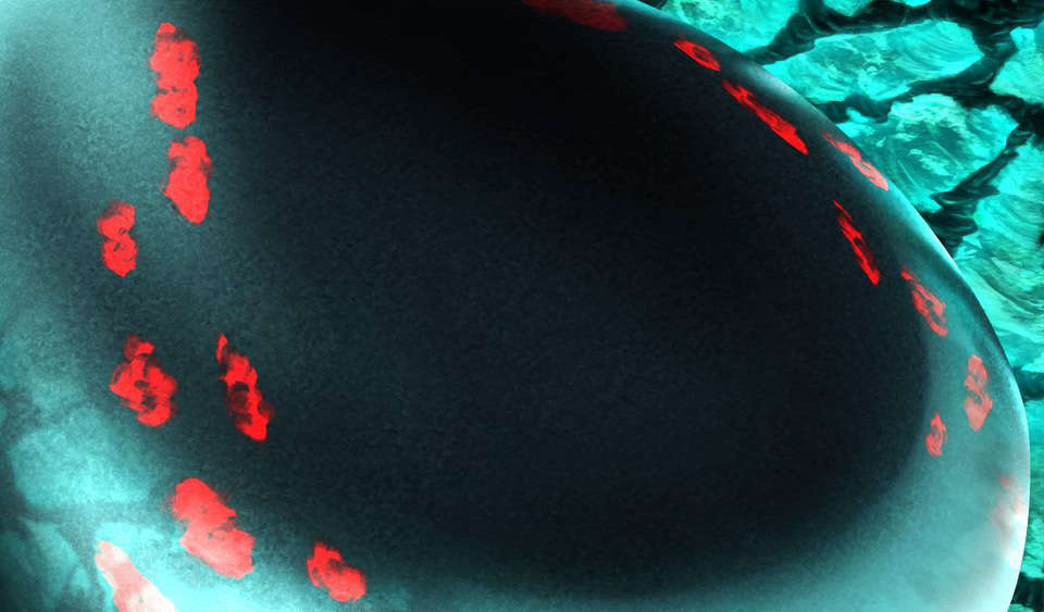 [060224] マブラヴ オルタネイティヴ 2085/2258 