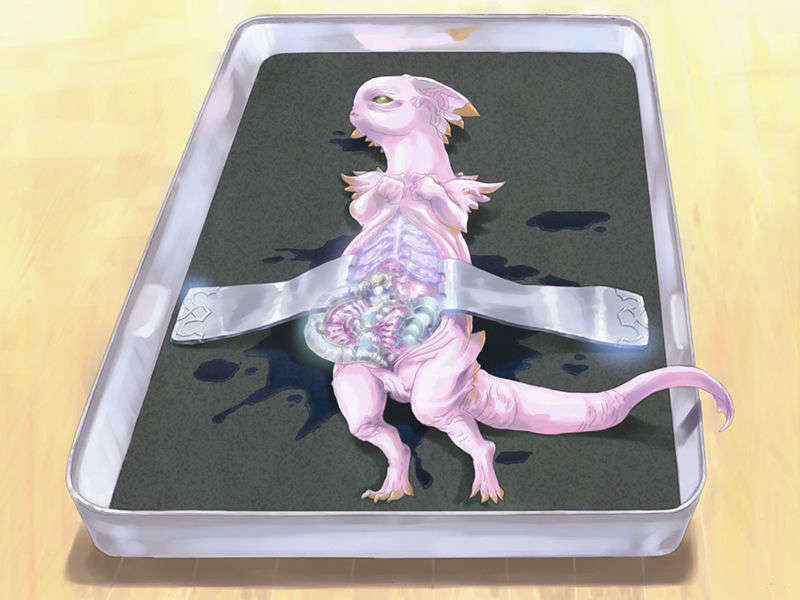 [050922] 月面基地前プレミアムBOX Vol.1 『ロケットの夏』 [Terralunar] 427/683 