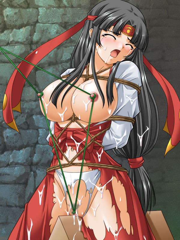 (同人CG集)〔小山電脳技研 〕QueensSlave 36/82 