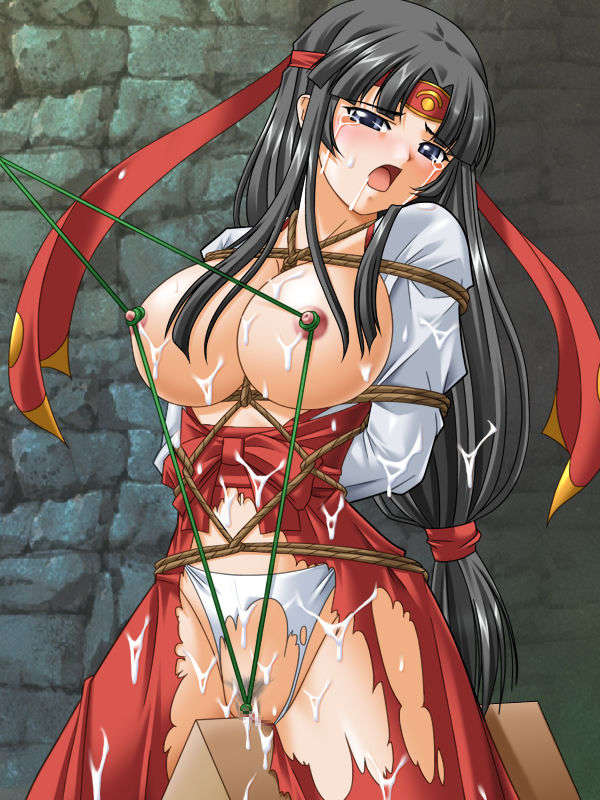 (同人CG集)〔小山電脳技研 〕QueensSlave 38/82 
