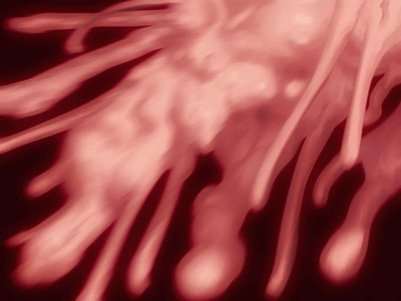 [040120]Fate stay night_CG100% 568/646 
