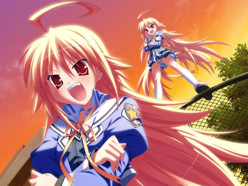 [HCG][COCKTAIL SOFT][080125] Pia▼キャロットへようこそ!!G.P. (bmp) 1095/1608 