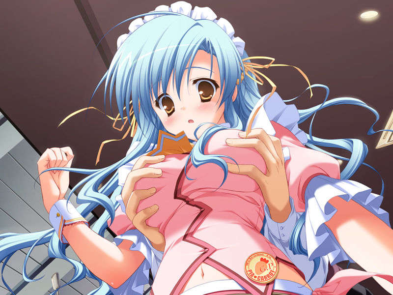 [HCG][COCKTAIL SOFT][080125] Pia▼キャロットへようこそ!!G.P. (bmp) 1128/1608 