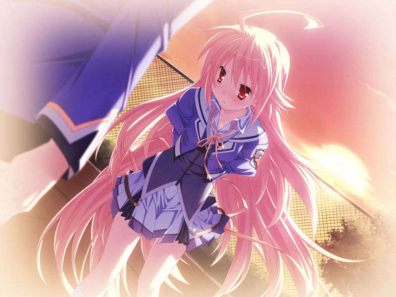 [HCG][COCKTAIL SOFT][080125] Pia▼キャロットへようこそ!!G.P. (bmp) 1205/1608 