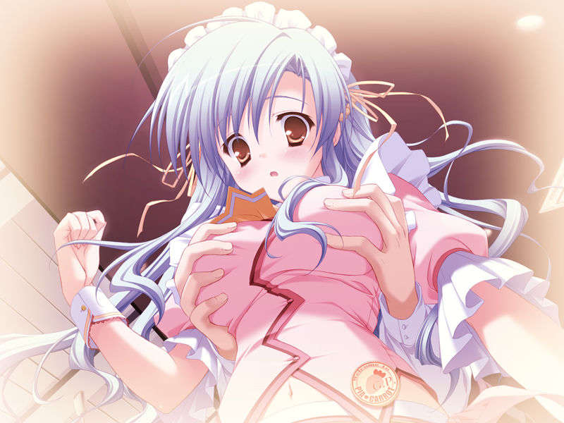 [HCG][COCKTAIL SOFT][080125] Pia▼キャロットへようこそ!!G.P. (bmp) 1254/1608 
