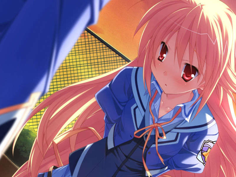 [HCG][COCKTAIL SOFT][080125] Pia▼キャロットへようこそ!!G.P. (bmp) 1556/1608 