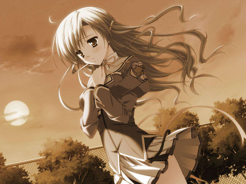 [HCG][COCKTAIL SOFT][080125] Pia▼キャロットへようこそ!!G.P. (bmp) 1562/1608 