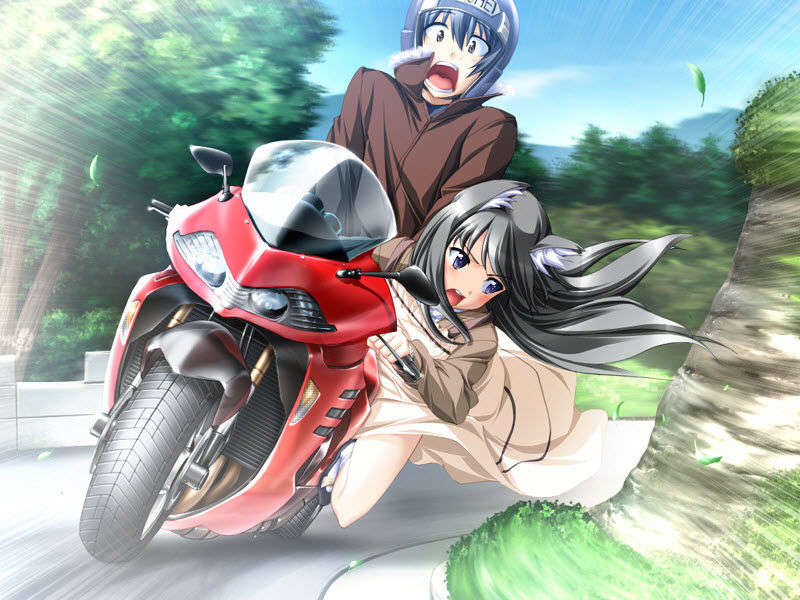 [7204880@kf] メモリア 219/422 