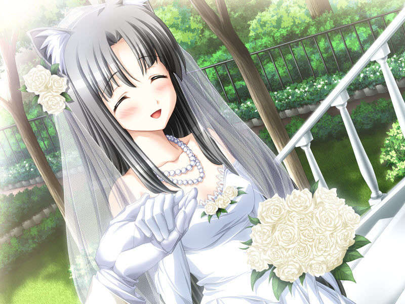 [7204880@kf] メモリア 221/422 