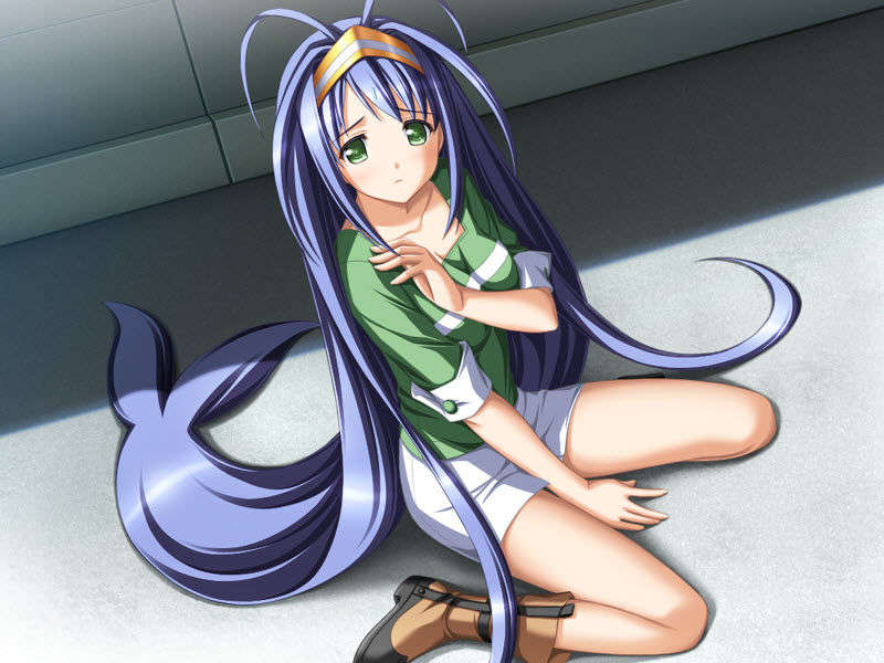 [7204880@kf] メモリア 274/422 