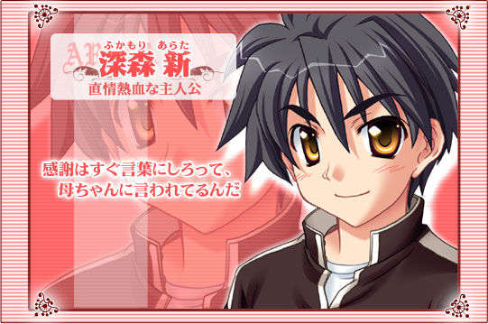 [060428][PULLTOP] PRINCESS WALTZ [北米版] 11/21 