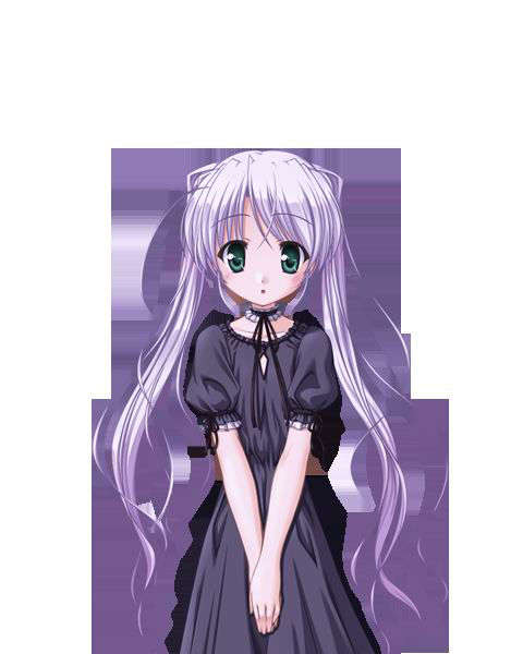 [080125]FORTUNE ARTERIAL 1195/2399 